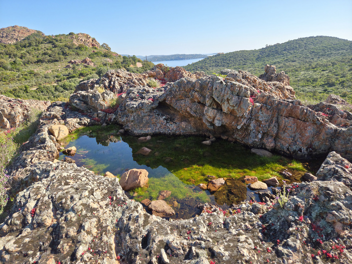 FESTA DI I POZZI 2025 FESTA DI I POZZI 2025