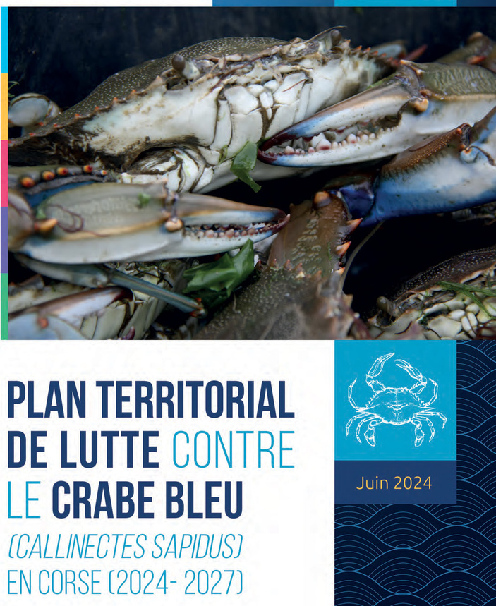 Le plan territorial de lutte contre le crabe bleu