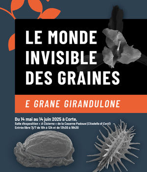 Spusizione "E Grane Girandulone "