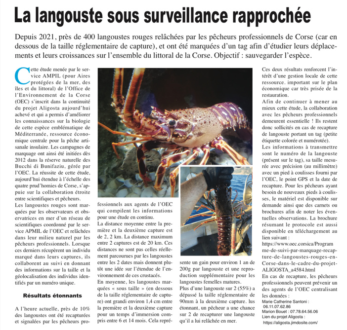 A cunniscenza di l’aligosta rossa cresce cù a cullaburazione trà pescadori è scentifichi ! A cunniscenza di l’aligosta rossa cresce cù a cullaburazione trà pescadori è scentifichi !