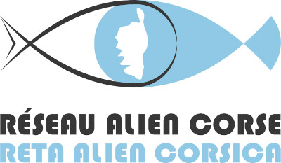 Le Réseau Alien de Corse fête ses 10 ans : Une décennie d’innovation célébrée à Ajacciu