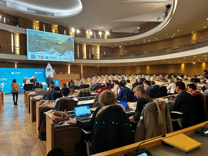 La Corse mise à l’honneur lors de la 9ᵉ édition « Poissons Migrateurs en Rhône-Méditerranée »