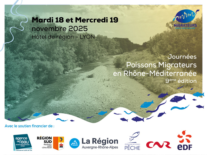 La Corse mise à l’honneur lors de la 9ᵉ édition « Poissons Migrateurs en Rhône-Méditerranée » La Corse mise à l’honneur lors de la 9ᵉ édition « Poissons Migrateurs en Rhône-Méditerranée »