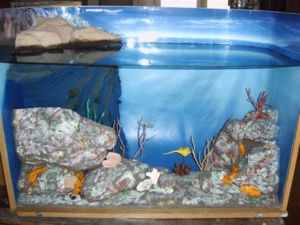 Educazione è Sensibilizazione per un sviluppu à long'andà Educazione è Sensibilizazione per un sviluppu à long'andà