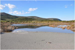 Site Natura 2000 FR 9400588  « Cap Corse Nord et îles Finocchiarola, Giraglia, Capense » Site Natura 2000 FR 9400588  « Cap Corse Nord et îles Finocchiarola, Giraglia, Capense »