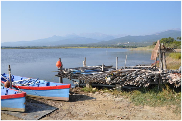 Etang de Palo Etang de Palo