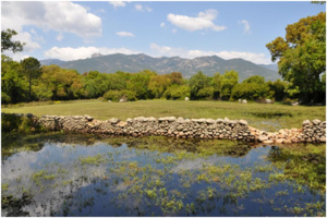Mare temporaire de Caccia Mare temporaire de Caccia