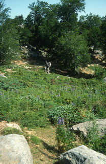 Photo : V.RUIZ (AROBASE) Photo : V.RUIZ (AROBASE)