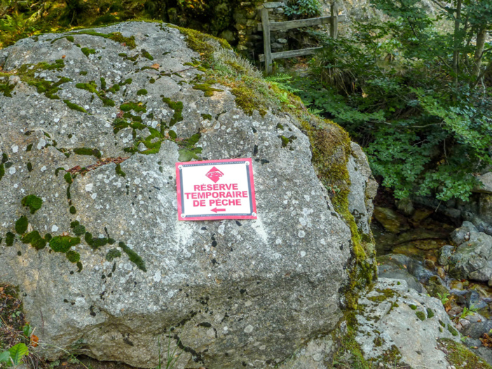 I pesci di fiumi I pesci di fiumi