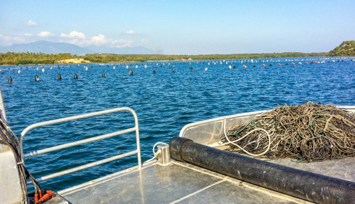 Etang de Diana