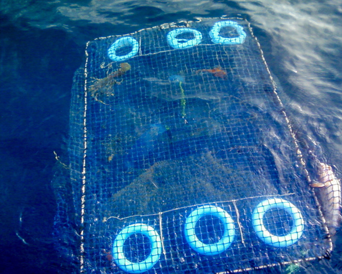 Relevée de nasse Relevée de nasse