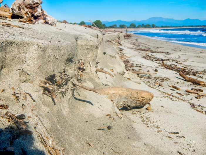 Plage de la Marana Plage de la Marana