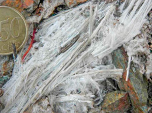 Risichi Naturali per via di a presenza di tigliu ambientale