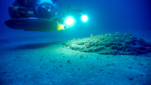 Sous-marin Comex