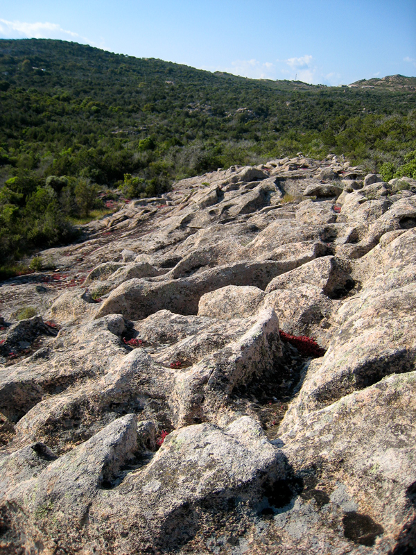 Le pseudokarst, objet géologique remarquable de la Réserve Naturelle des Tre Padule de Suartone. (photo : M-L. Pozzo di Borgo/OEC)