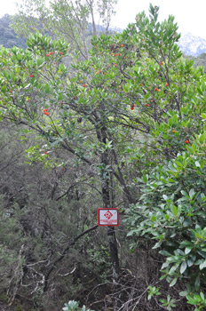 E riserve di caccia è di salvaticume E riserve di caccia è di salvaticume