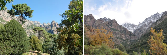 RCFS de Bavella / RCFS d'Omita RCFS de Bavella / RCFS d'Omita