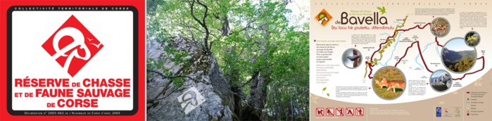 Des petits panneaux de balisage / Des pochoirs / Des grands panneaux d’information Des petits panneaux de balisage / Des pochoirs / Des grands panneaux d’information