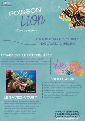 A rete "Alien Corsica"