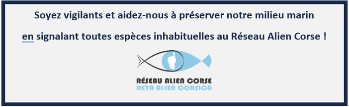 A rete "Alien Corsica"