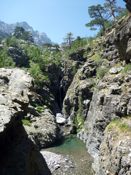 E riserve timpurarie di pesca E riserve timpurarie di pesca