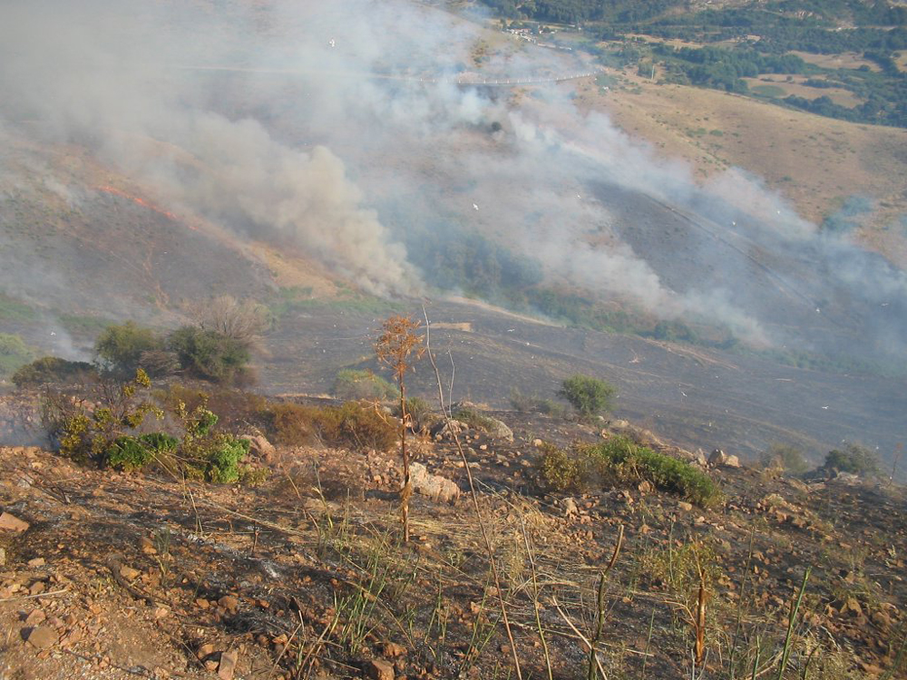 Incendie dans la région de Lava en 2015