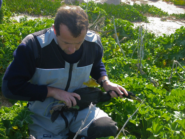 Photos : Parc marin international Photos : Parc marin international