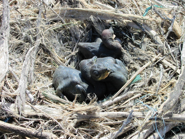 Photos : Parc marin international Photos : Parc marin international