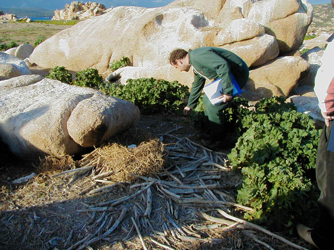 Photos : Parc marin international Photos : Parc marin international