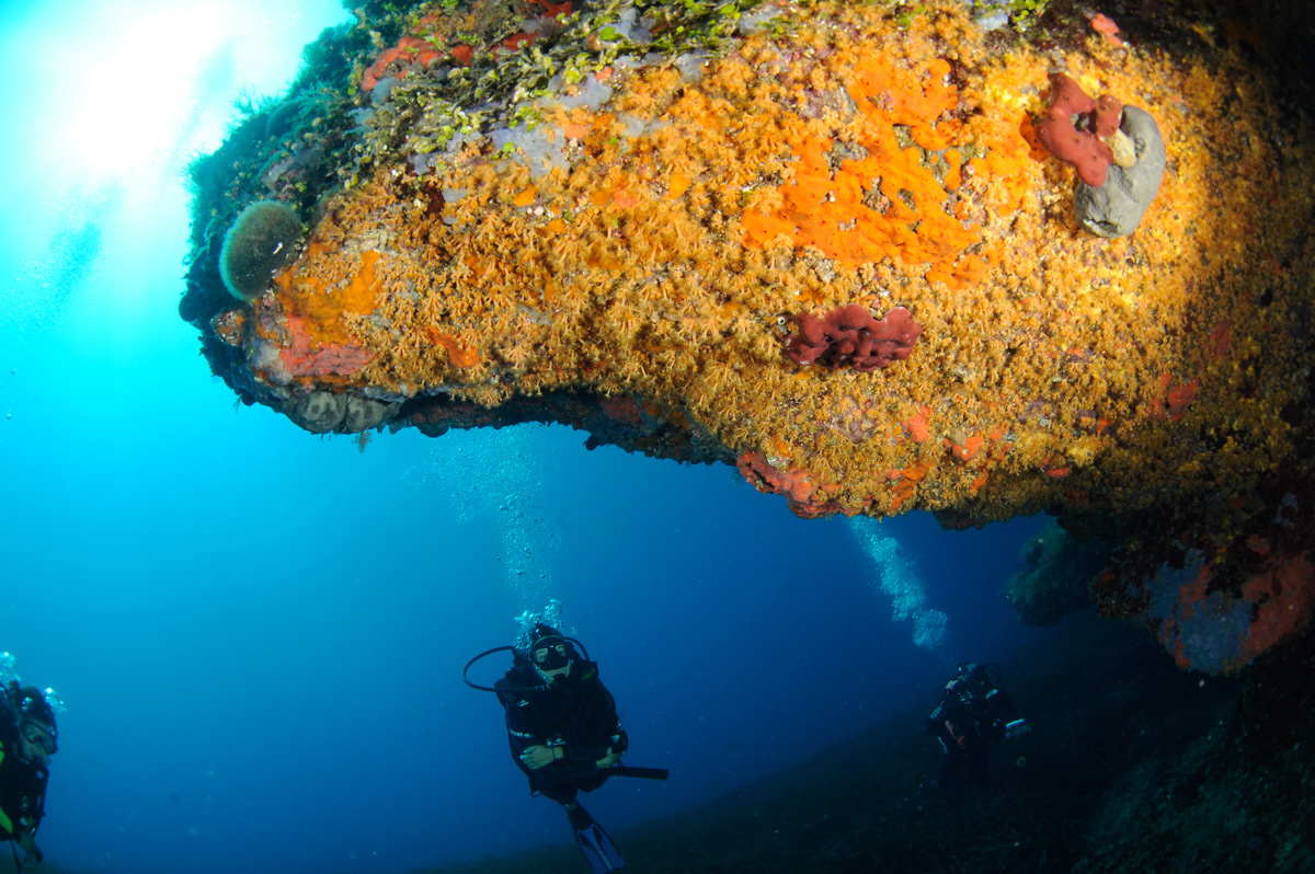 Grotte marine © TurtleProd