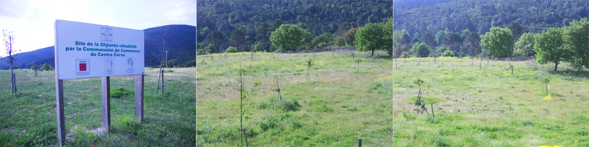 Réhabilitation du site de la Ghjiunta par la Communauté de Communes du Centre Corse 5000 m2 réhabilités 250 arbres replantés (financée sur le programme 2007-2013)