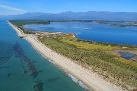 L'étang d'Urbinu, joyau de la biodiversité
