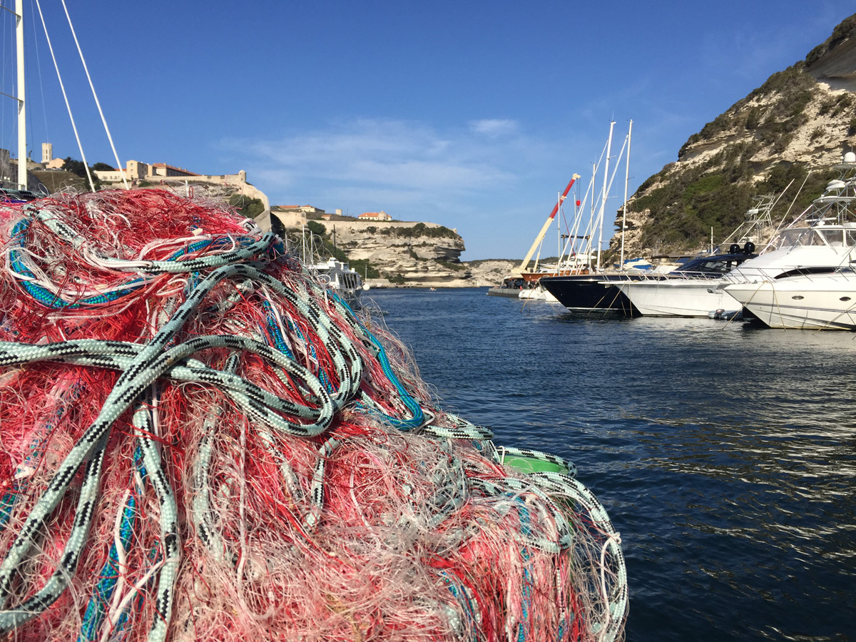 Le  projet DACOR (Données hAlieutiques CORses)