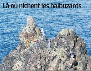 Là où nichent les balbuzards