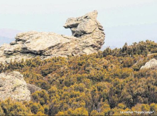 Le Chemin des deux rives pour respirer le Cap autrement