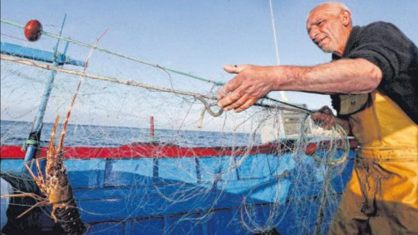 Pêcheurs et Etat : entente cordiale sur la langouste