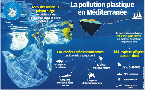 Peut-on sauver la Méditerranée de nos déchets plastiques ?