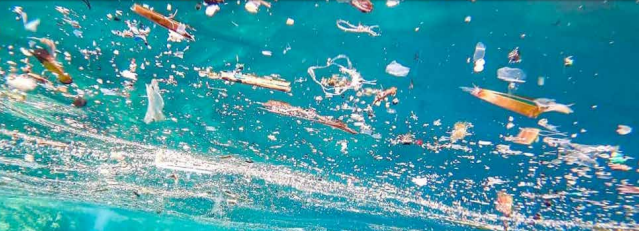 Plaidoyer pour une mer "Plastic Free"