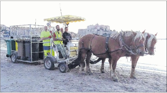 Deux chevaux collectent les déchets sur la plage