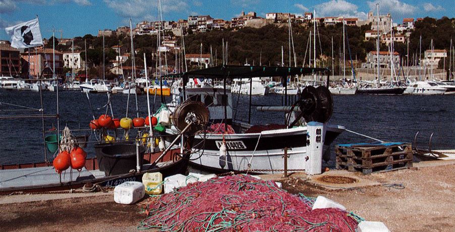 Une stratégie partagée et organisée pour relancer la pêche artisanale