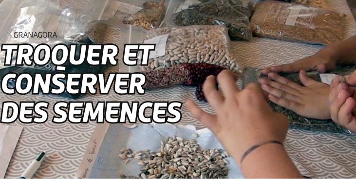 Troquer et conserver des semences