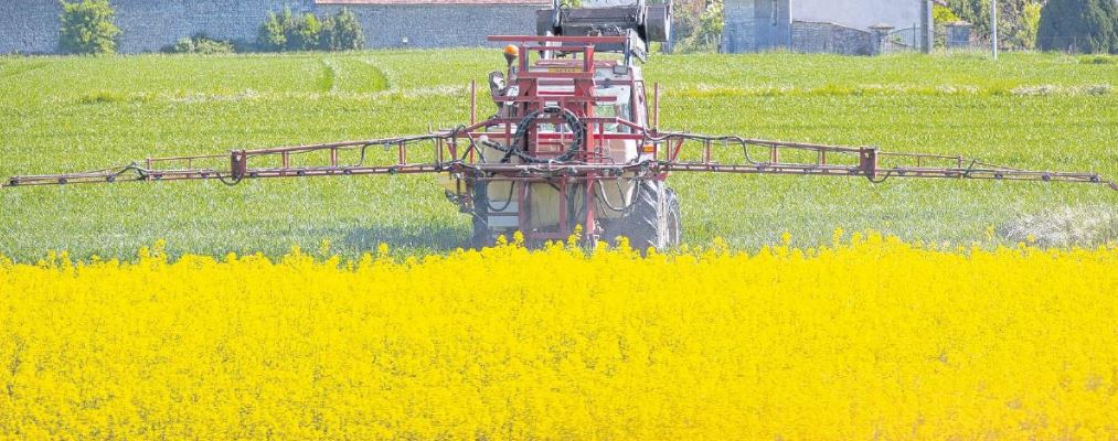Emploi du glyphosate, la Corse-du-Sud parmi les vertueux