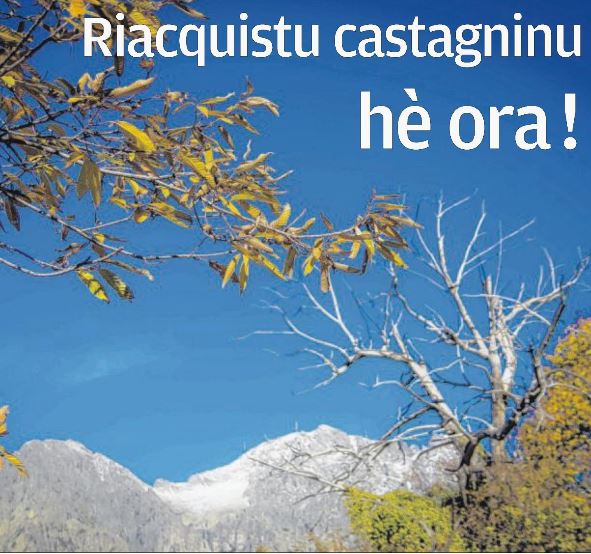 Riacquistu castagninu hè ora !
