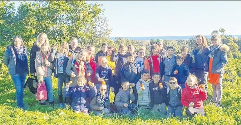 Agri'Gustu à la découverte de la clémentine bio