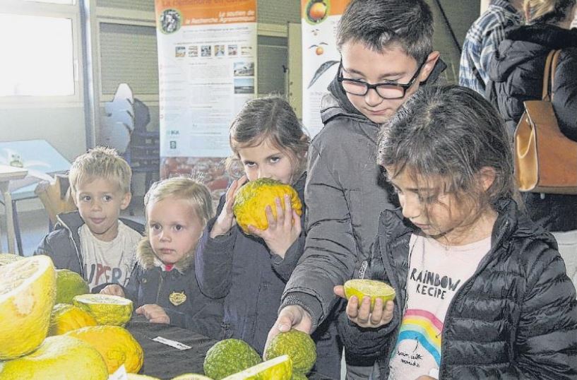Quand les jardins de l'Inra s'ouvrent au grand public