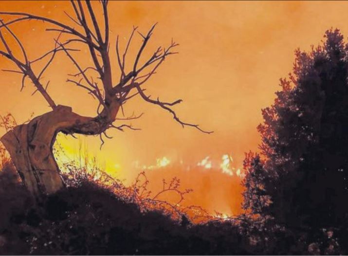 Près de 80 hectares ravagés par le feu dans le Cap Corse