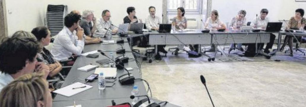 Xylella : le scénario noir écarté