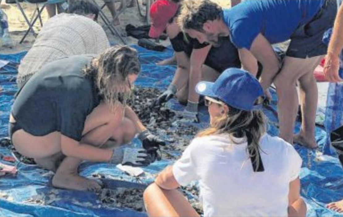 CorSeaCare : mission sensibiliser les enfants sur la pollution marine
