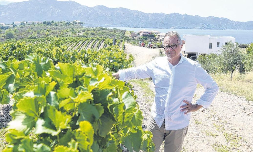 Le Domaine Orenga de Gaffory obtient la certification bio