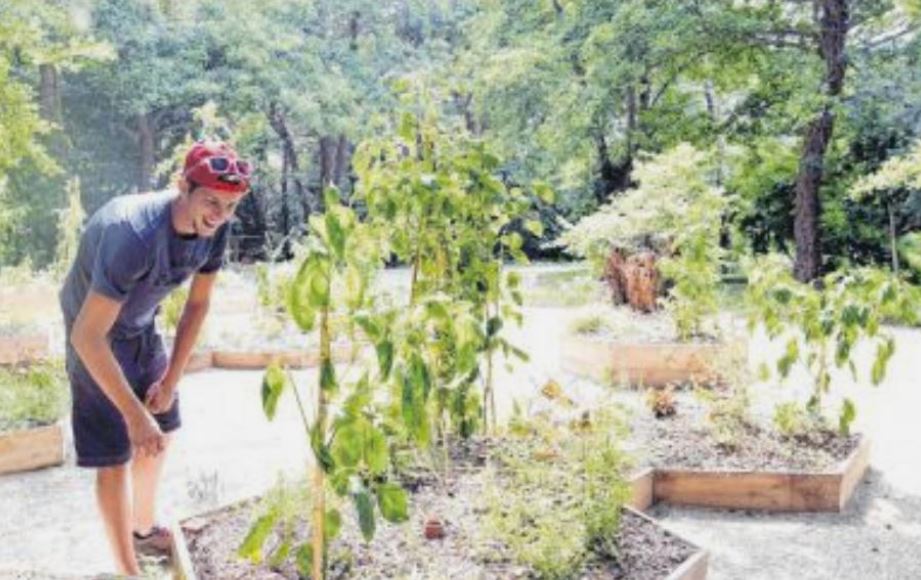 La permaculture, cet art de cultiver qui fleurit au Misincu